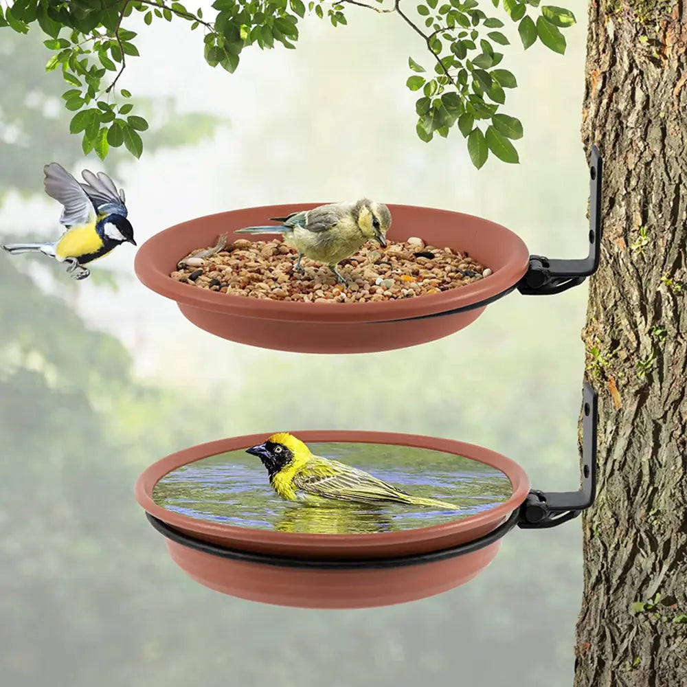 Wall-Mounted Bird Feeder and Bath with Trays and Rings