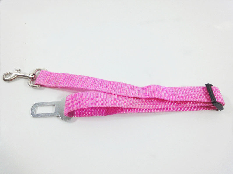 Dog Leash and Safety Harness