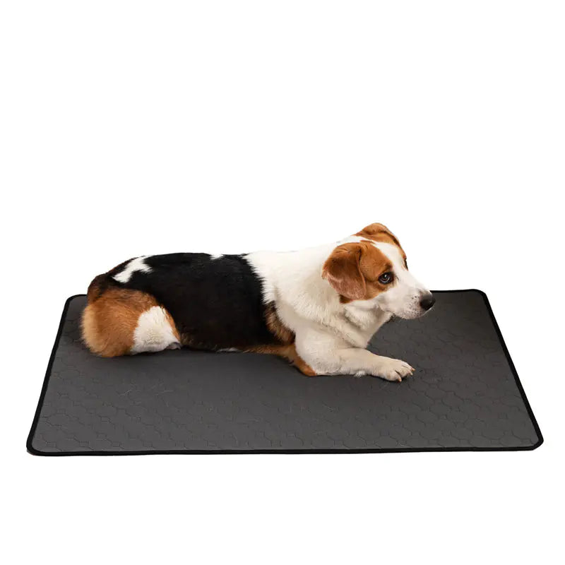 Pet Training Pads for Repeated Water Absorption