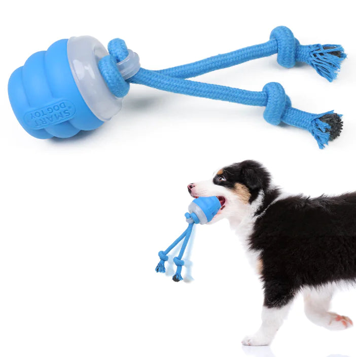Smart Rolling Dog Toy