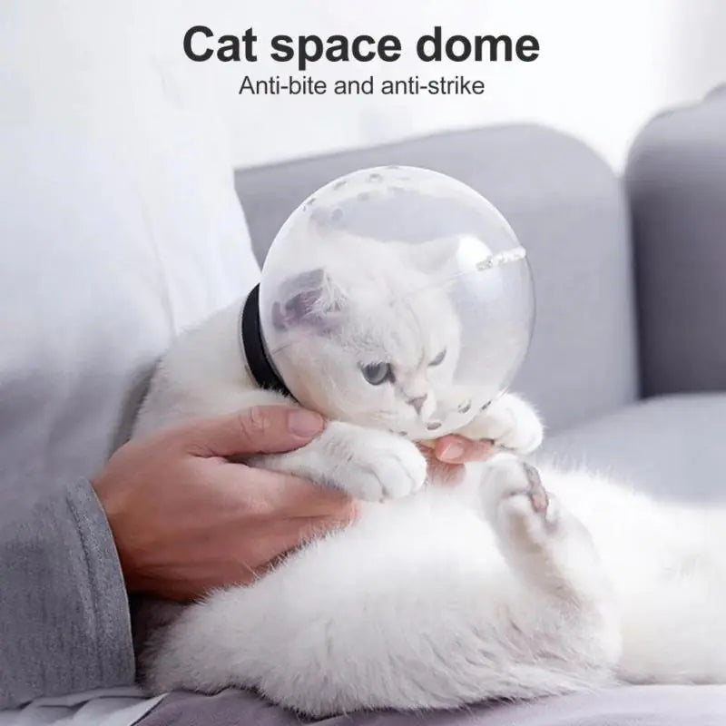 Transparent Cat Grooming Mask for Bathing & Nail Care