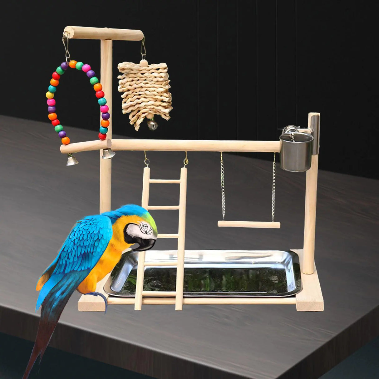 Solid Wood Parrot Playstand with Gym Ladder and Toys