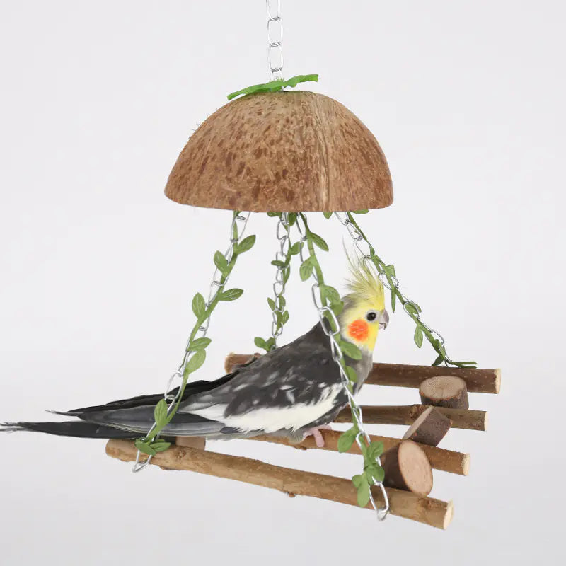 Parrot Paradise Coconut Bird Nest Swing Hammock