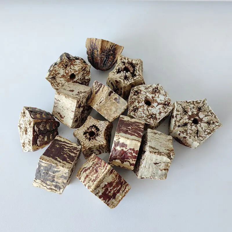 Parrot Chew Toys and Bird Cage Decor (For Mental Stimulation)