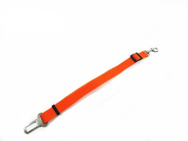 Dog Leash and Safety Harness