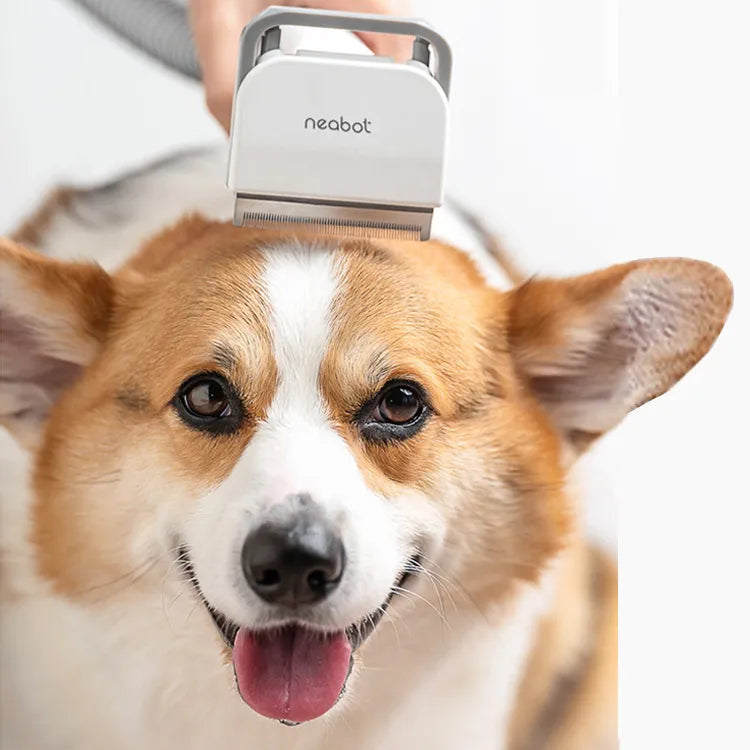 Pet Complete Professional Grooming Tool