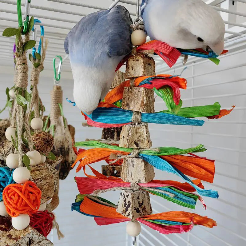 Parrot Chew Toys and Bird Cage Decor (For Mental Stimulation)