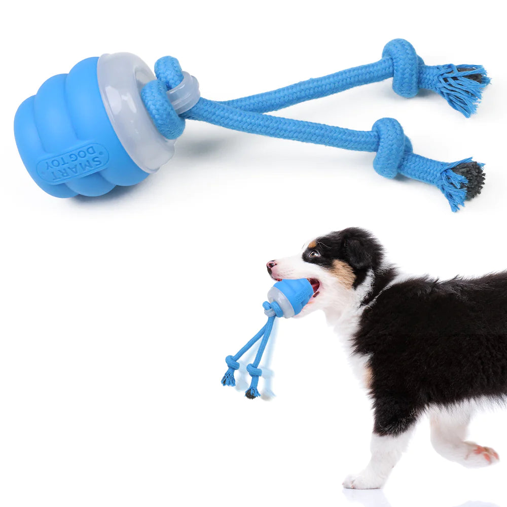 Smart Rolling Dog Toy