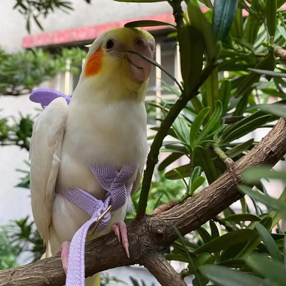 Adjustable Parrot Bird Harness with Traction Rope