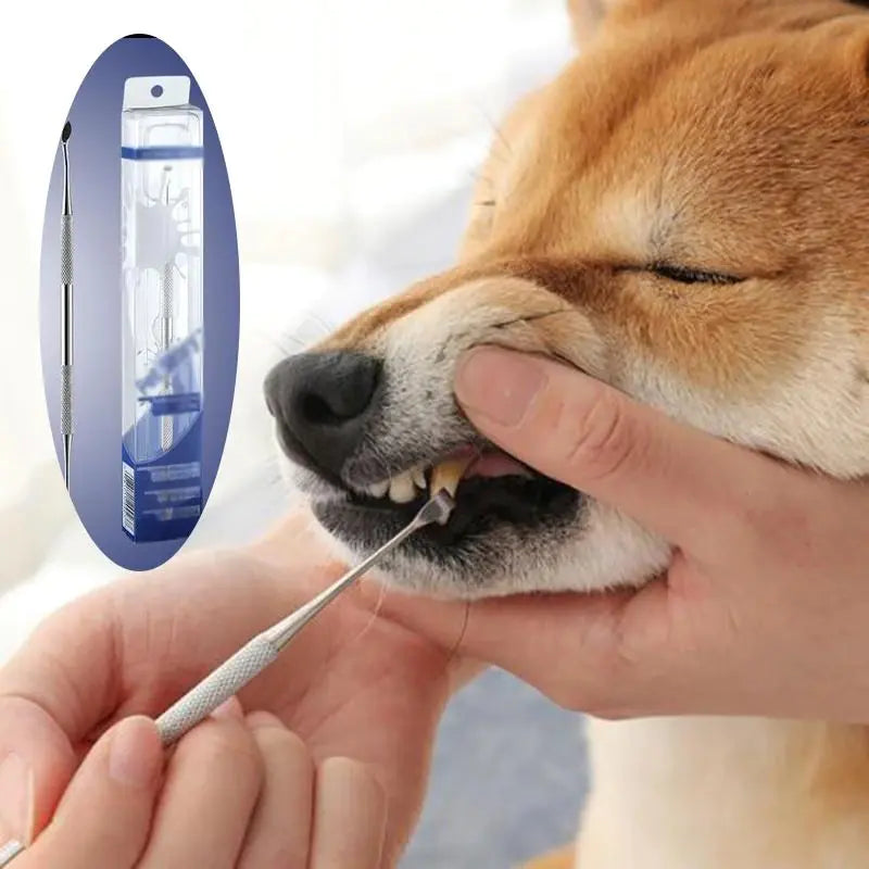 Pet Dental Care Pen for Dogs and Cats Cleaning Tool