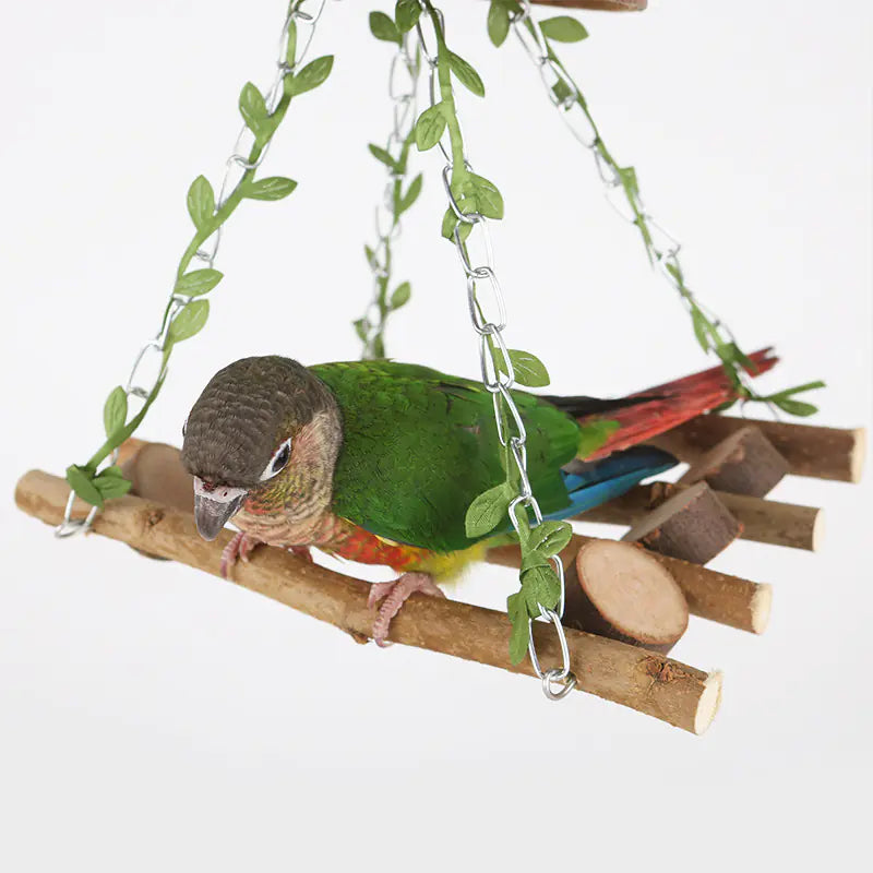 Parrot Paradise Coconut Bird Nest Swing Hammock