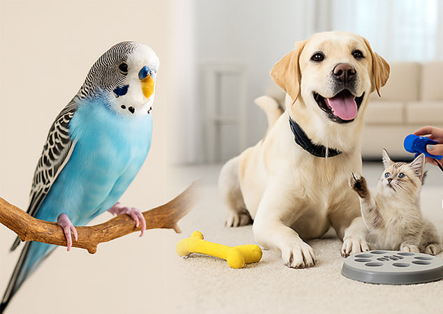 Training & Behavior