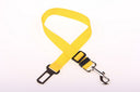 Dog Leash and Safety Harness