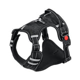 Pet Car Safety Harness for Medium and Large Dogs