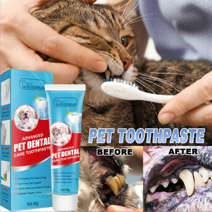 Edible Fresh Toothpaste for Cats and Dogs Oral Care