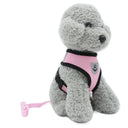 Reflective Vest and Leash for Small Dogs