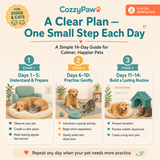 Calm Home Alone - 14-Day Digital Guide for Dogs & Cats