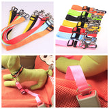 Dog Leash and Safety Harness