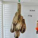 Parrot Chew Toys and Bird Cage Decor (For Mental Stimulation)