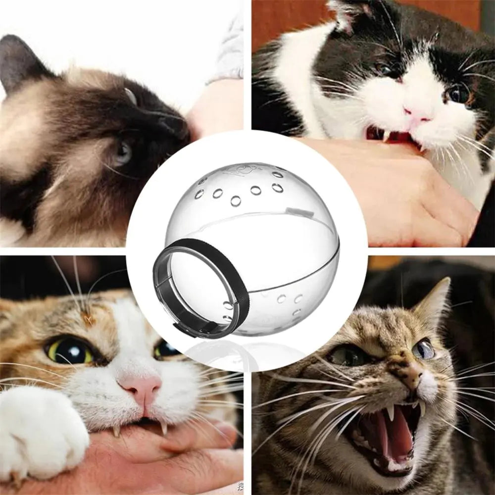 Transparent Cat Grooming Mask for Bathing & Nail Care