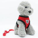 Reflective Vest and Leash for Small Dogs